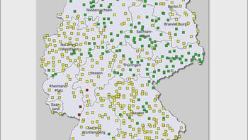 Aktuelle Prognose zu Rapsschädlingen (KW17) 
