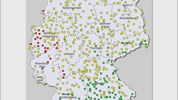 Aktuelle Prognose zu Rapsschädlingen und -wachstumsreglern (KW12) 