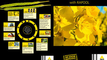Influence of herbicide residues on the development of oilseed rape