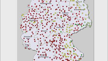 Aktuelle Prognose zu Rapsschädlingen (KW 9) 