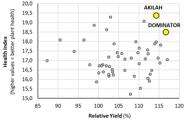 Figure 1: Official trials Czech Republic: Very good plant health and yield of RAPOOL´s RlmS-newcomers AKILAH and DOMINATOR. Rel. 100 % = 5,05 t/ha (Check´s = Alicante, DK Expiro, DK Expression), 11 locations. Health index = sum of disease scores of Phoma (8 loc.), Sclerotinia (7 loc.) and the complex of root diseases (6 loc.).
