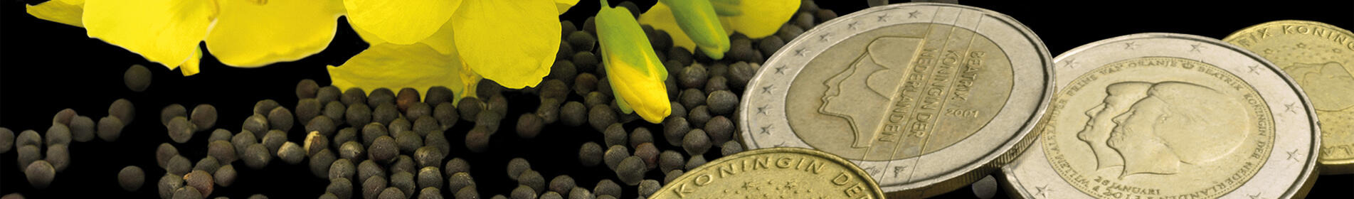 BEATRIX CL - A new level for Clearfield hybrids