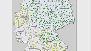 Aktuelle Prognose zu Rapsschädlingen (KW15) 
