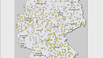 Aktuelle Prognose zu Rapsschädlingen (KW16) 