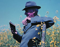 Hans Lebke is monitoring the rapeseed plants in the fields
